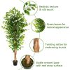 6FT Solid Wood 1260 Leaves Truncated Banyan Tree Simulation Tree Green