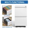 2 Drawer Metal Mobile File Cabinet, Rolling File Cabinet with Lock for Hanging Legal/Letter/A4 Size,Fully Assembled Except Wheels