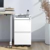2 Drawer Metal Mobile File Cabinet, Rolling File Cabinet with Lock for Hanging Legal/Letter/A4 Size,Fully Assembled Except Wheels