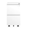 2 Drawer Metal Mobile File Cabinet, Rolling File Cabinet with Lock for Hanging Legal/Letter/A4 Size,Fully Assembled Except Wheels