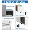 2 Drawer Metal Mobile File Cabinet, Rolling File Cabinet with Lock for Hanging Legal/Letter/A4 Size,Fully Assembled Except Wheels