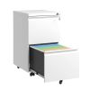 2 Drawer Metal Mobile File Cabinet, Rolling File Cabinet with Lock for Hanging Legal/Letter/A4 Size,Fully Assembled Except Wheels